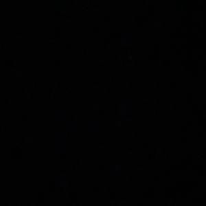 Meet your Posher, Gavin